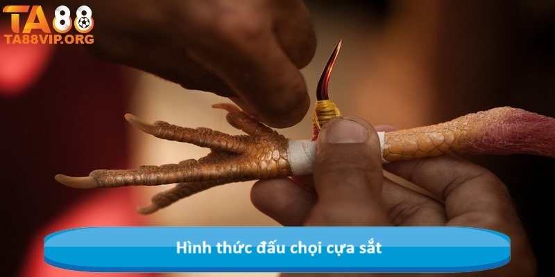 Hình thức đấu chọi cựa sắt