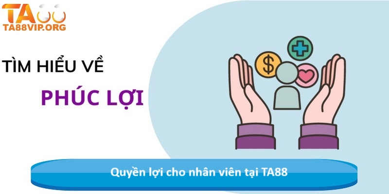 Quyền lợi cho nhân viên tại TA88