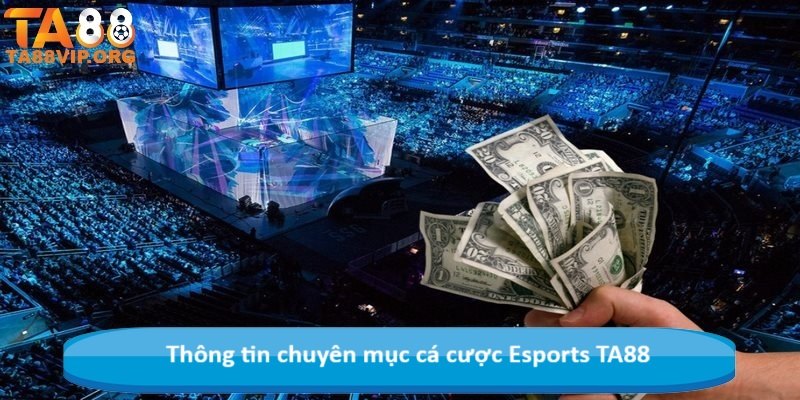 Thông tin chuyên mục cá cược Esports TA88