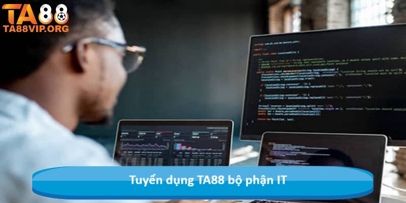 Tuyển dụng TA88 bộ phận IT