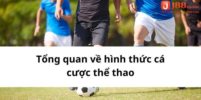 Tổng quan về hình thức cá cược thể thao